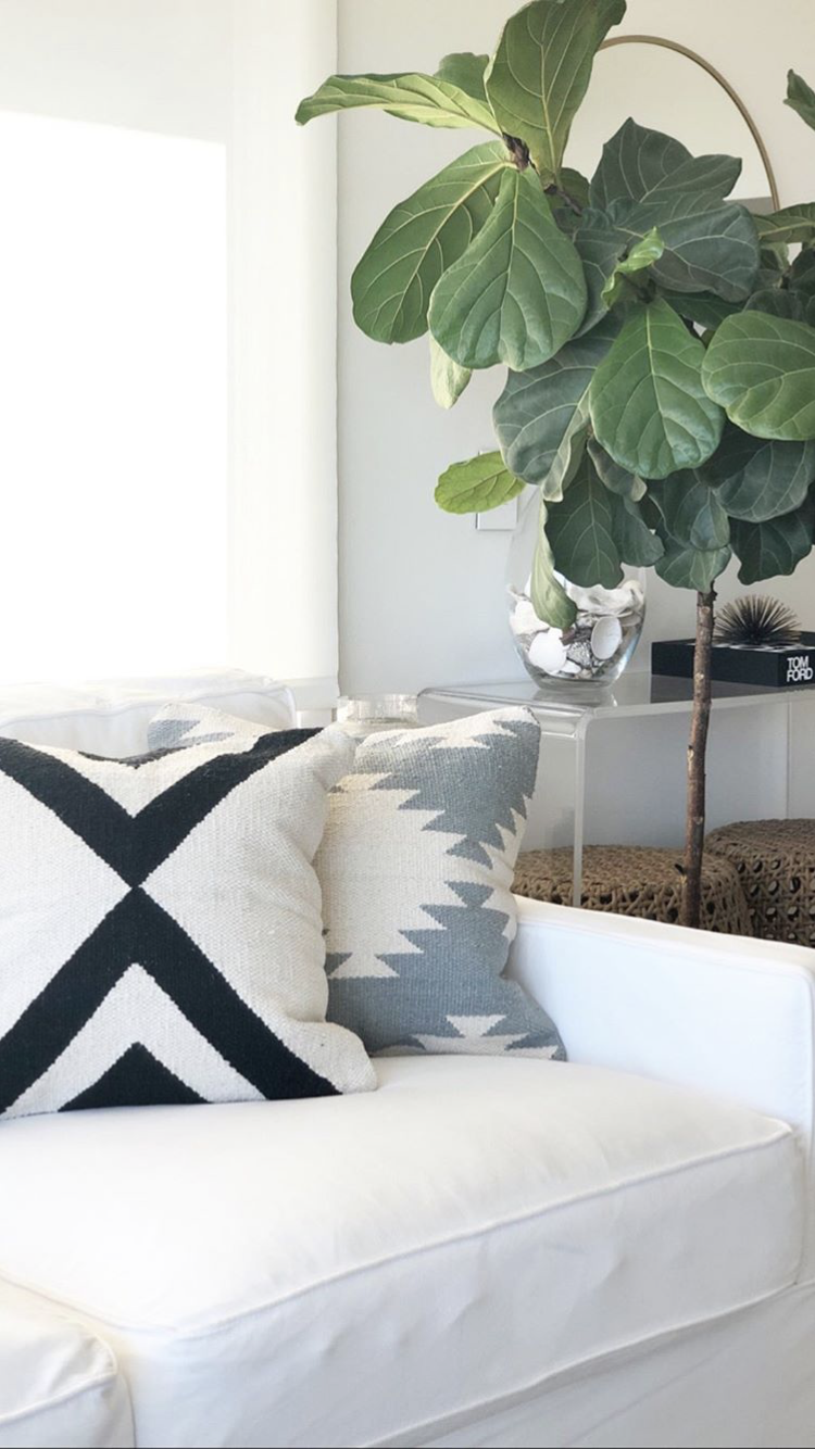 Vail Pillow Cover PREORDER